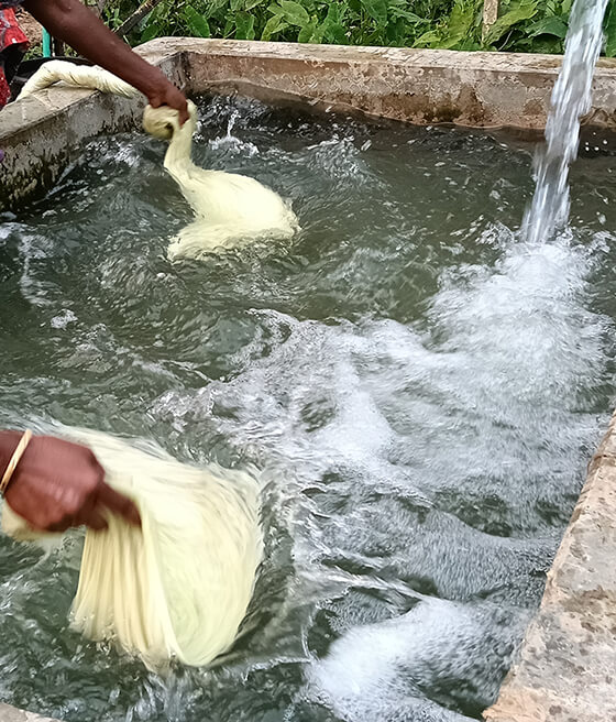 wash-Pineapple Leaf Fiber-with-water-9-25